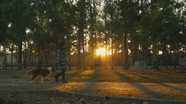 A woman walks through a park with a dog.