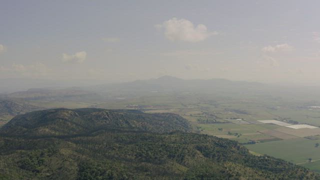 Forest in the mountains, aerial view.