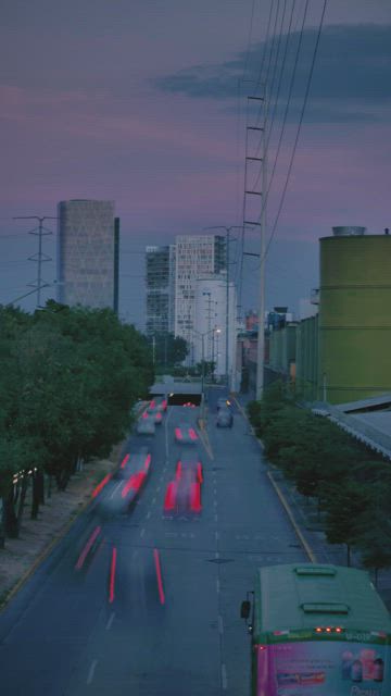 Avenue with trees, buildings and fast cars at dusk.