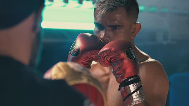 Boxer training in the ring.