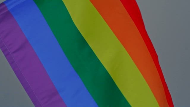 A pride and diversity rainbow flag waving slowly against a gray backdrop.