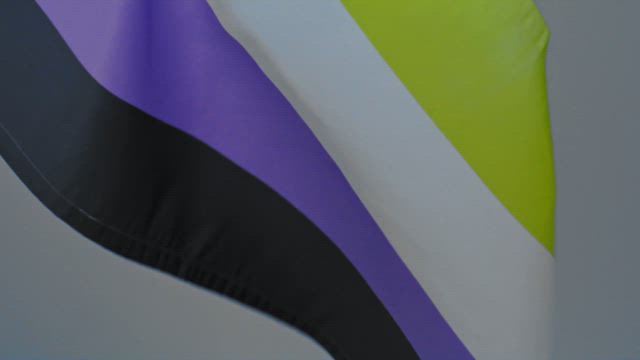 Non binary flag featuring green, white, purple and black vibrant colors waving slowly agains a minimal gray backdrop.